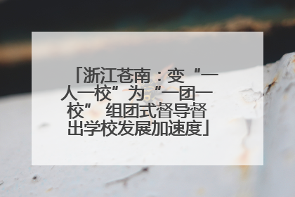 浙江苍南：变“一人一校”为“一团一校” 组团式督导督出学校发展加速度
