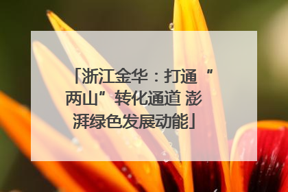 浙江金华：打通“两山”转化通道 澎湃绿色发展动能