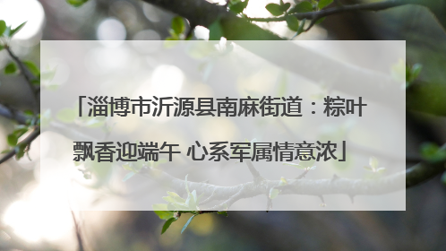 淄博市沂源县南麻街道：粽叶飘香迎端午 心系军属情意浓