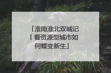 淮南淮北双城记丨看资源型城市如何蝶变新生
