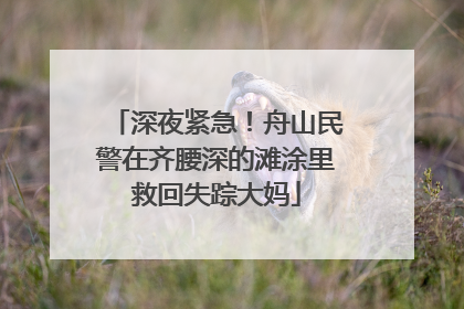 深夜紧急！舟山民警在齐腰深的滩涂里救回失踪大妈