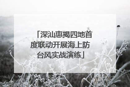 深汕惠揭四地首度联动开展海上防台风实战演练