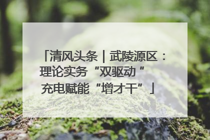 清风头条｜武陵源区：理论实务“双驱动 ” 充电赋能“增才干”