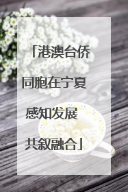 港澳台侨同胞在宁夏感知发展 共叙融合
