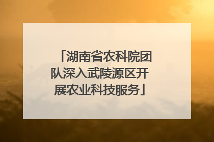 湖南省农科院团队深入武陵源区开展农业科技服务