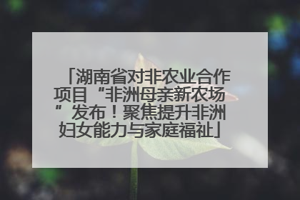 湖南省对非农业合作项目“非洲母亲新农场”发布！聚焦提升非洲妇女能力与家庭福祉