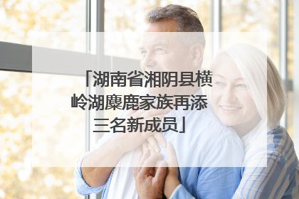 湖南省湘阴县横岭湖麋鹿家族再添三名新成员