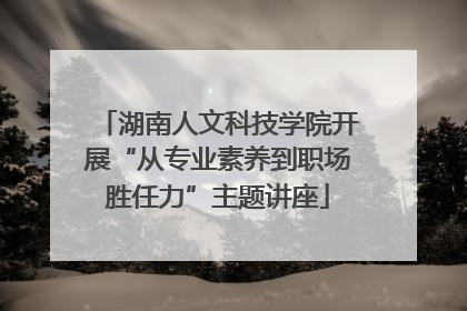 湖南人文科技学院开展“从专业素养到职场胜任力”主题讲座