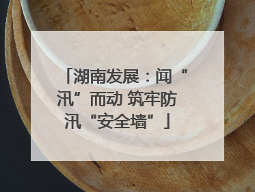 湖南发展：闻“汛”而动 筑牢防汛“安全墙”