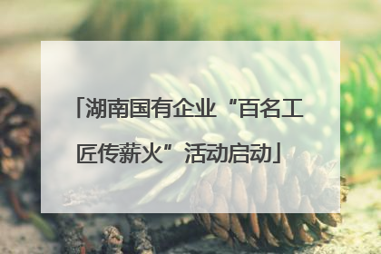 湖南国有企业“百名工匠传薪火”活动启动