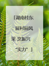 湖南桂东：展村厨风采 烹振兴“实力”