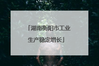 湖南衡阳市工业生产稳定增长