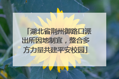 湖北省荆州御路口派出所因地制宜，整合多方力量共建平安校园