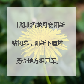 湖北省龙舟赛阳新站闭幕，阳新下屋村勇夺地方组冠军