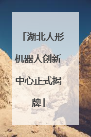 湖北人形机器人创新中心正式揭牌