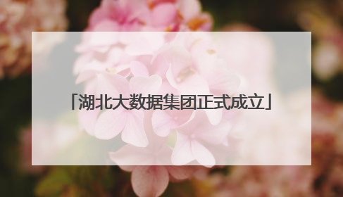 湖北大数据集团正式成立