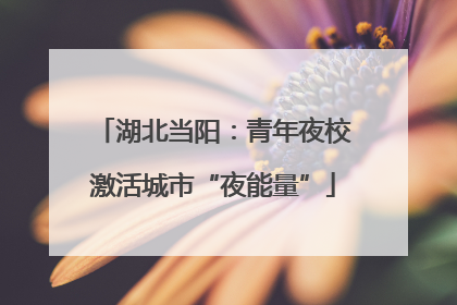 湖北当阳：青年夜校激活城市“夜能量”