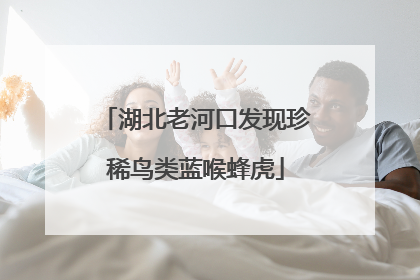 湖北老河口发现珍稀鸟类蓝喉蜂虎