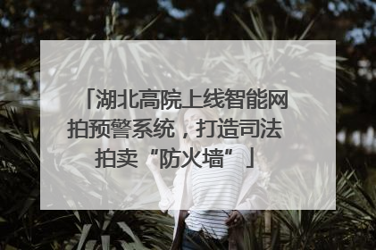 湖北高院上线智能网拍预警系统，打造司法拍卖“防火墙”