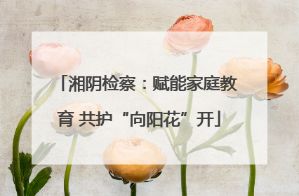 湘阴检察：赋能家庭教育 共护“向阳花”开