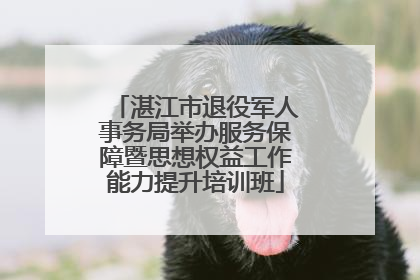 湛江市退役军人事务局举办服务保障暨思想权益工作能力提升培训班