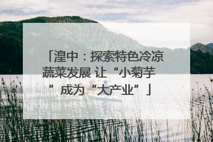 湟中：探索特色冷凉蔬菜发展 让“小菊芋”成为“大产业”
