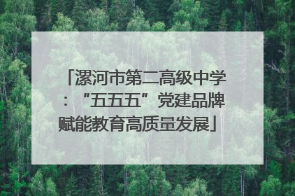 漯河市第二高级中学：“五五五”党建品牌赋能教育高质量发展