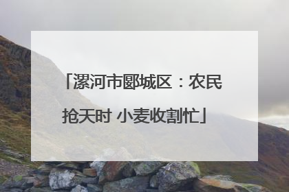 漯河市郾城区:农民抢天时 小麦收割忙