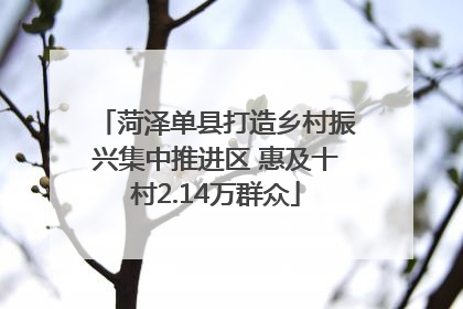 菏泽单县打造乡村振兴集中推进区 惠及十村2.14万群众