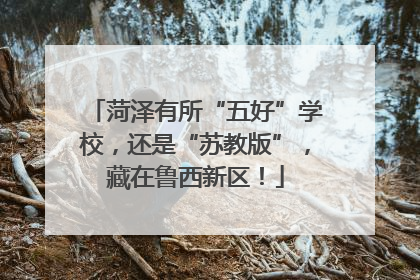 菏泽有所“五好”学校，还是“苏教版”，藏在鲁西新区！