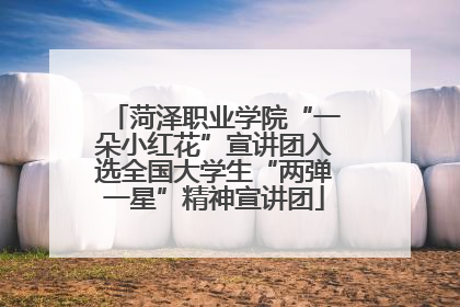 菏泽职业学院“一朵小红花”宣讲团入选全国大学生“两弹一星”精神宣讲团