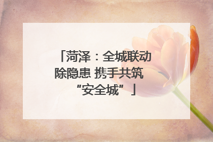 菏泽：全城联动除隐患 携手共筑“安全城”