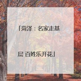 菏泽：名家走基层 百姓乐开花