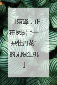 菏泽：正在挖掘“一朵牡丹花”的无限生机
