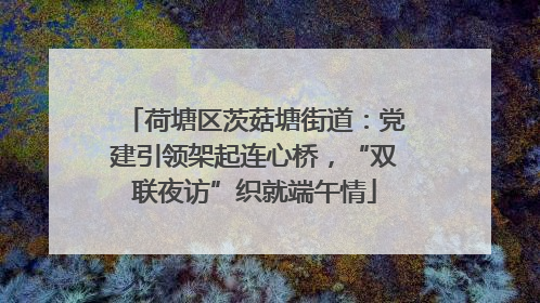 荷塘区茨菇塘街道：党建引领架起连心桥，“双联夜访”织就端午情