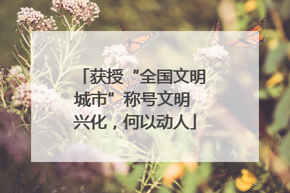 获授“全国文明城市”称号文明 兴化，何以动人