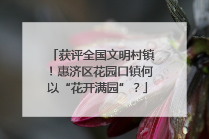 获评全国文明村镇！惠济区花园口镇何以“花开满园”？