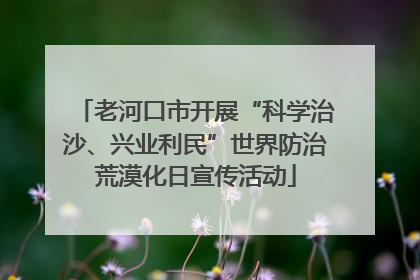 老河口市开展“科学治沙、兴业利民”世界防治荒漠化日宣传活动