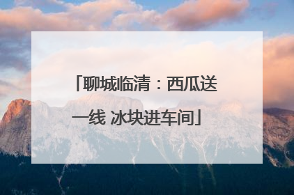 聊城临清：西瓜送一线 冰块进车间