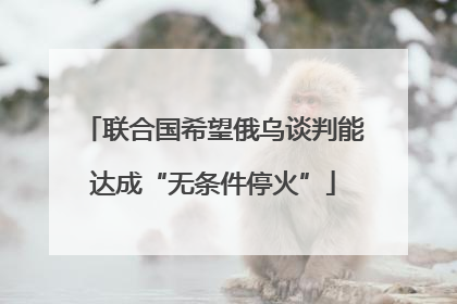 联合国希望俄乌谈判能达成“无条件停火”