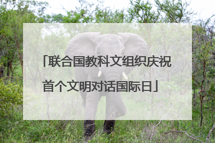 联合国教科文组织庆祝首个文明对话国际日