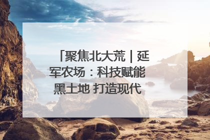 聚焦北大荒｜延军农场：科技赋能黑土地 打造现代农业“智慧芯”