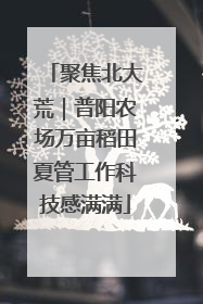 聚焦北大荒｜普阳农场万亩稻田夏管工作科技感满满