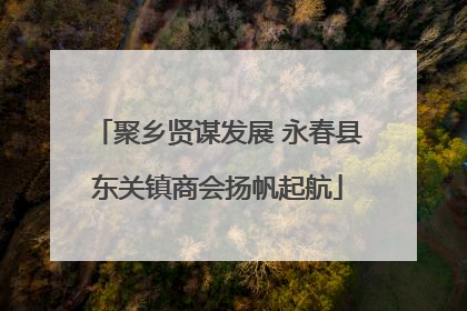 聚乡贤谋发展 永春县东关镇商会扬帆起航