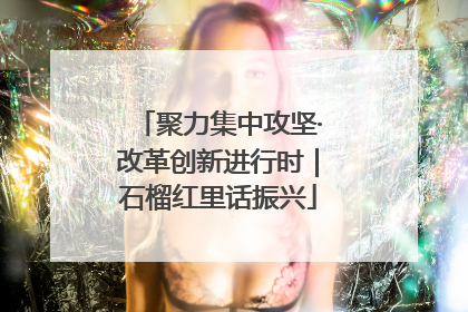 聚力集中攻坚·改革创新进行时｜石榴红里话振兴