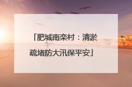 肥城南栾村：清淤疏堵防大汛保平安