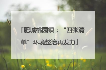 肥城桃园镇：“四张清单”环境整治再发力