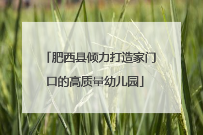 肥西县倾力打造家门口的高质量幼儿园