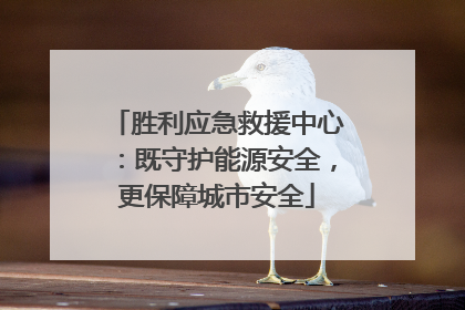 胜利应急救援中心：既守护能源安全，更保障城市安全