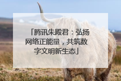 腾讯朱殿君：弘扬网络正能量，共筑数字文明新生态